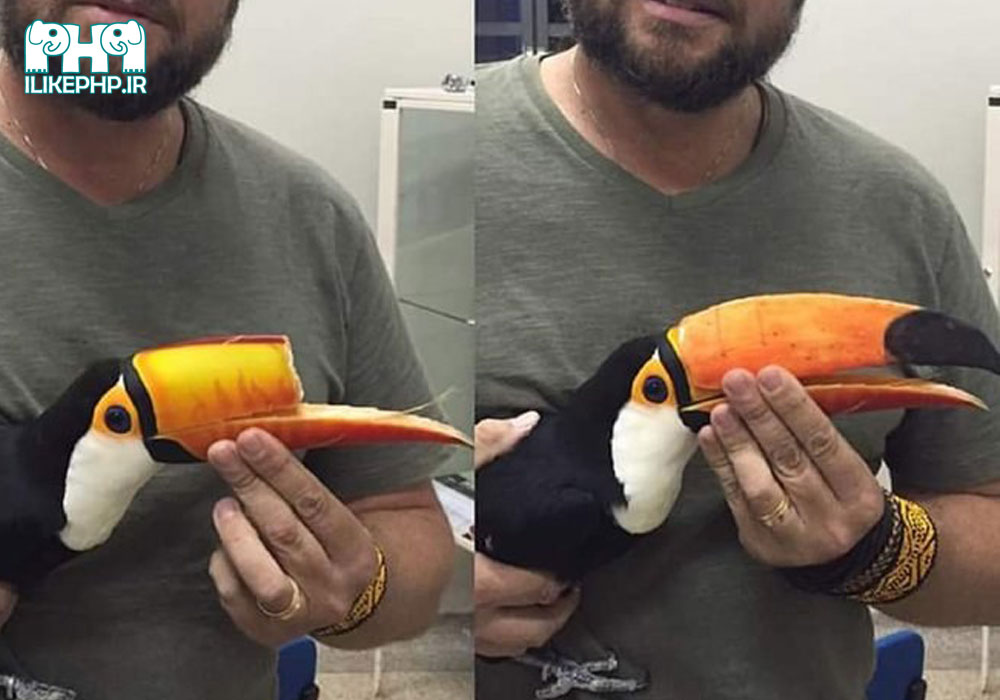 بازسازی نوک پرنده با چاپگرهای 3 بعدی